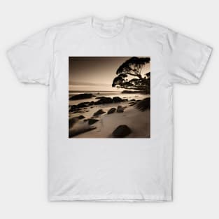 Victorian Coastal Landscape Tree Photo T-Shirt